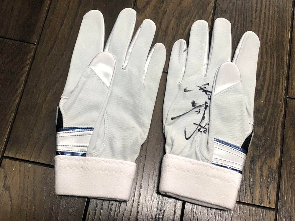 Amazon.co.jp: 源田壮亮選手サイン入りバッティンググローブ